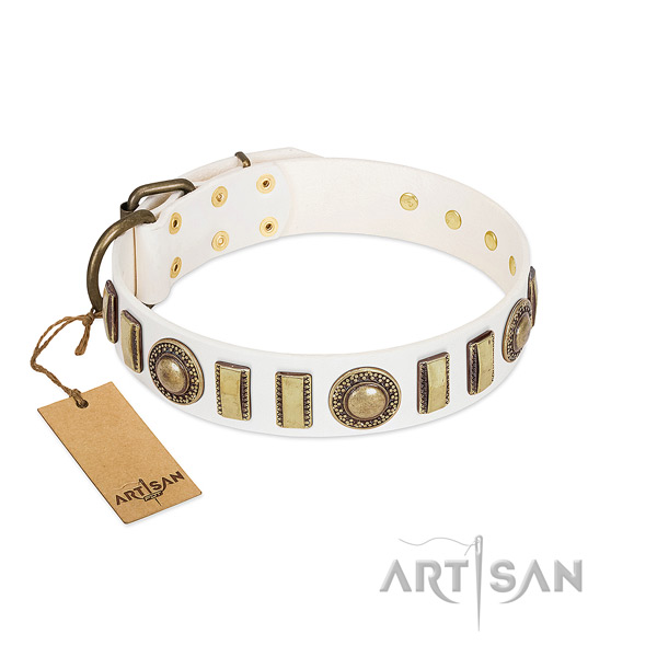 Remarkable genuine leather dog collar with reliable D-ring