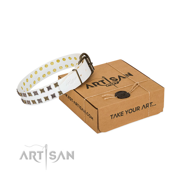 Full grain leather collar with trendy adornments for your canine