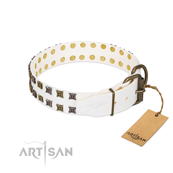 Full grain leather collar with unusual embellishments for your dog