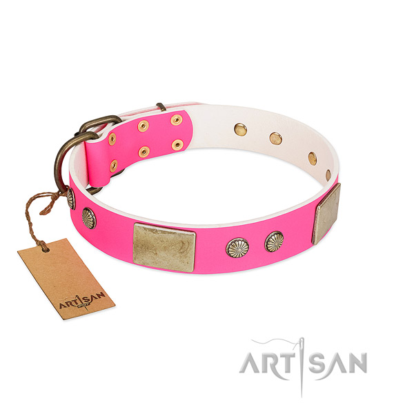 Easy adjustable natural leather dog collar for walking your doggie