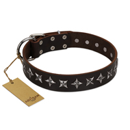"Stars of Glory" FDT Artisan Brown Leather American Bulldog Collar for Comfortable Walking