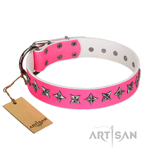 Top quality genuine leather dog collar with unique embellishments