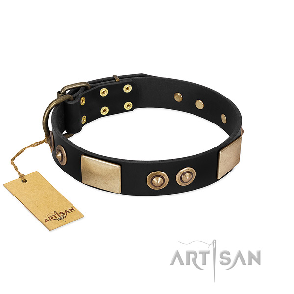Easy wearing genuine leather dog collar for basic training your dog