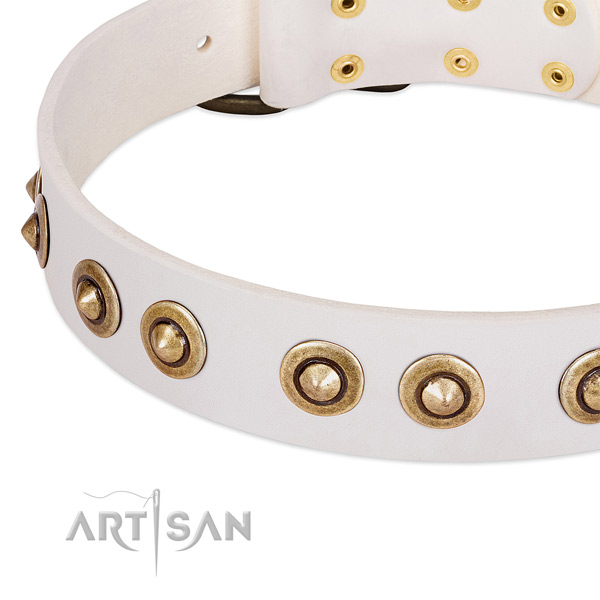 Durable D-ring on leather dog collar for your doggie