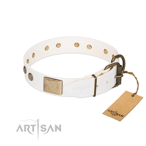 Strong D-ring on everyday walking dog collar