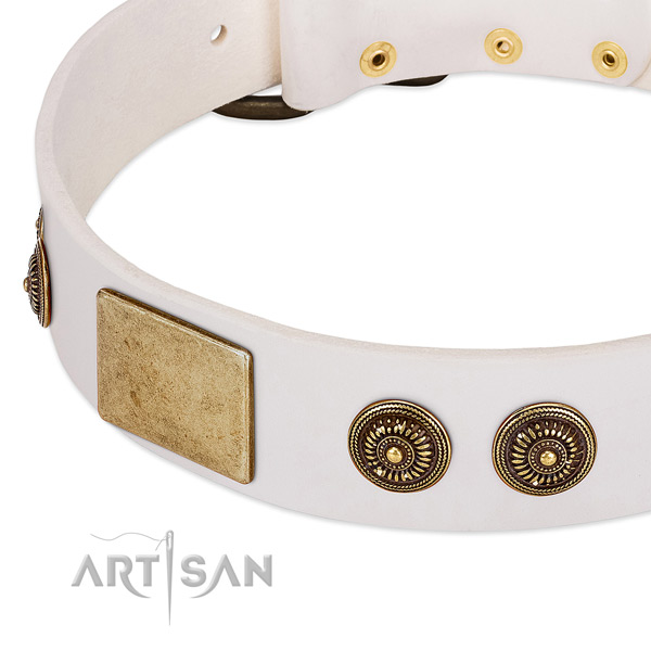 Handmade dog collar created for your handsome canine