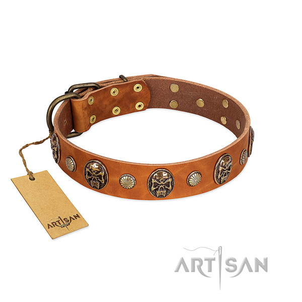 Amazing natural genuine leather dog collar for basic training