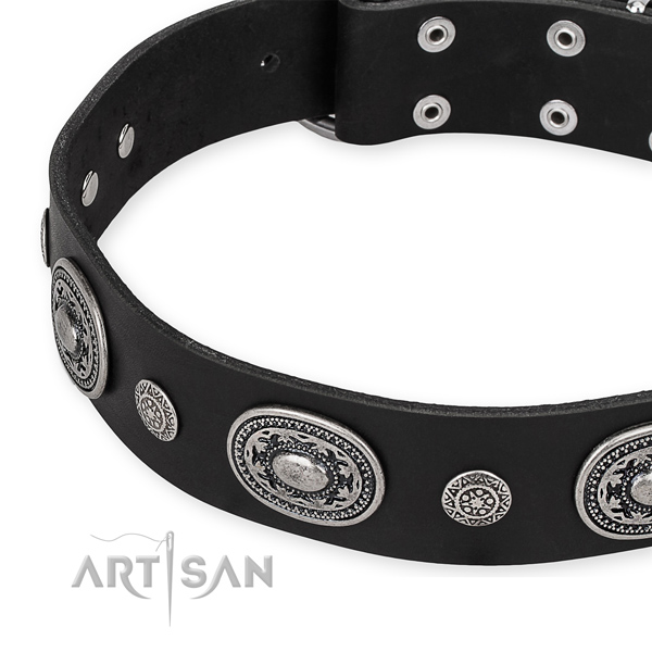 Top notch genuine leather dog collar made for your impressive four-legged friend