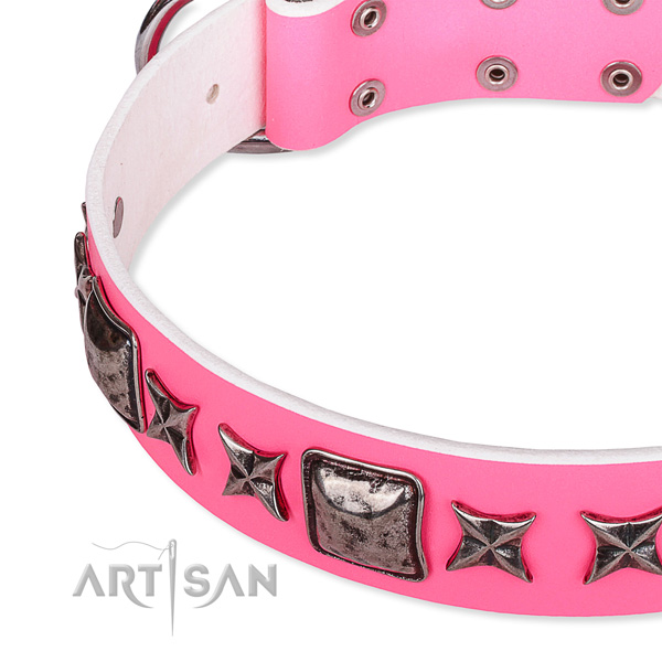 Fancy walking adorned dog collar of reliable full grain natural leather