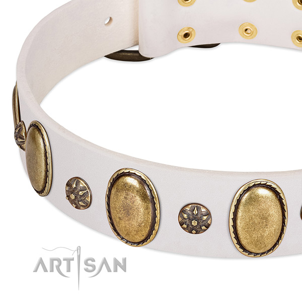 Stylish walking top rate full grain natural leather dog collar