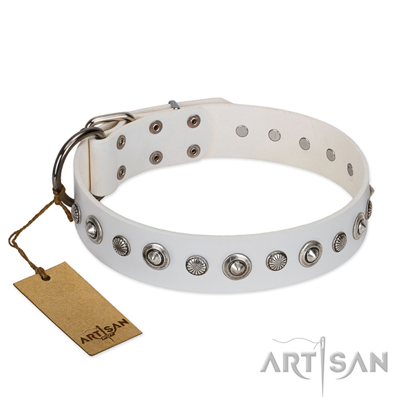 Best quality leather dog collar with impressive studs