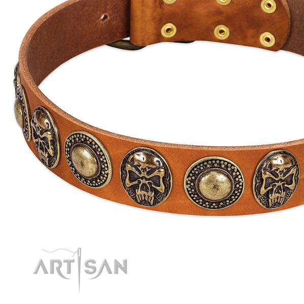 Reliable traditional buckle on genuine leather dog collar for your doggie