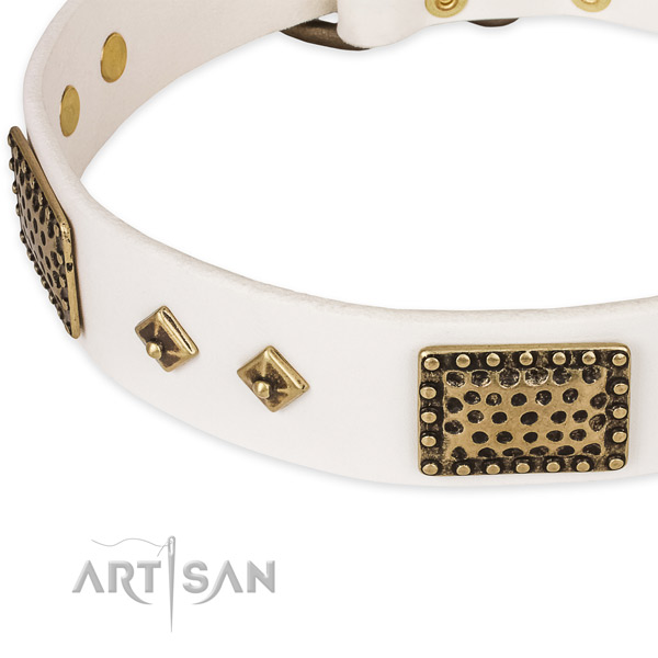 Corrosion proof fittings on genuine leather dog collar for your canine