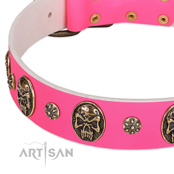 Incredible dog collar created for your beautiful doggie