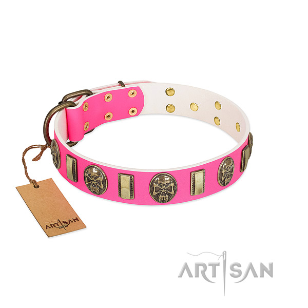Corrosion resistant studs on full grain genuine leather dog collar for your canine