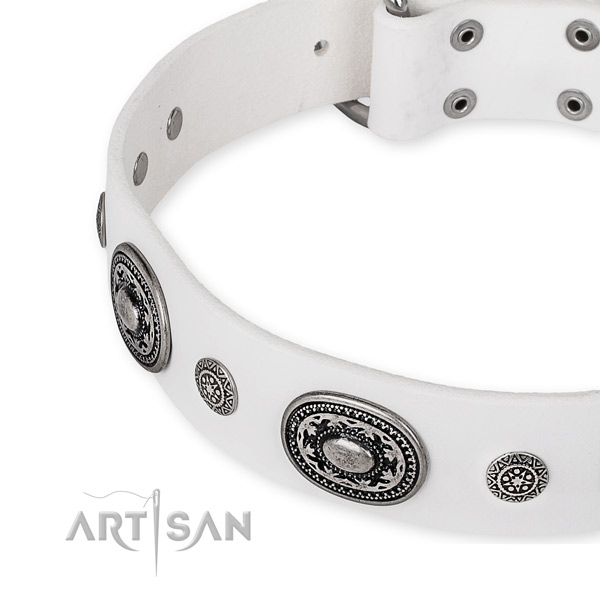 Reliable full grain natural leather dog collar crafted for your handsome doggie