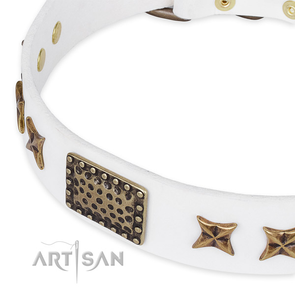 Full grain leather collar with rust-proof D-ring for your beautiful doggie
