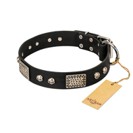 "Pirates Gold" FDT Artisan Black Leather American Bulldog Collar with Old Silver Look Plates and Skulls