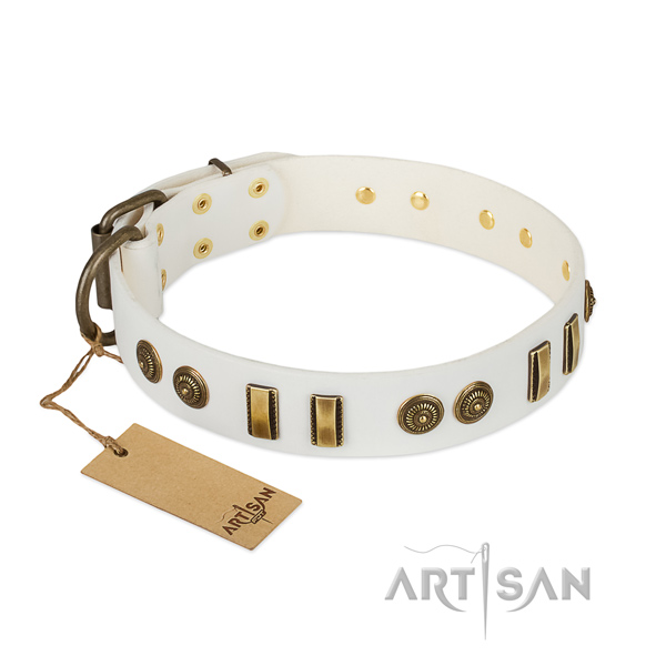 Corrosion resistant decorations on full grain leather dog collar for your dog