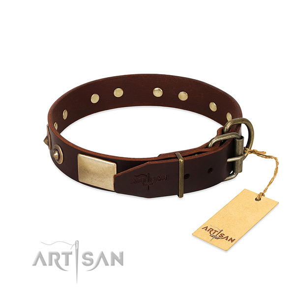 Strong decorations on walking dog collar