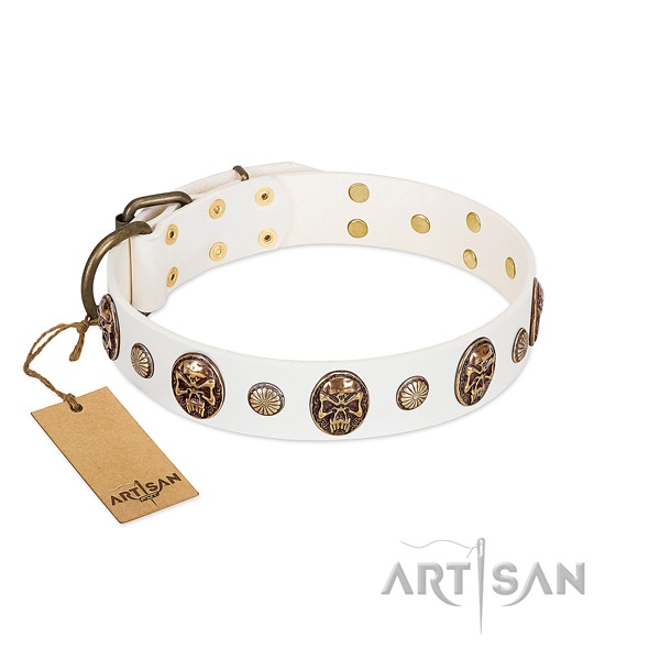 Awesome full grain leather dog collar for stylish walking