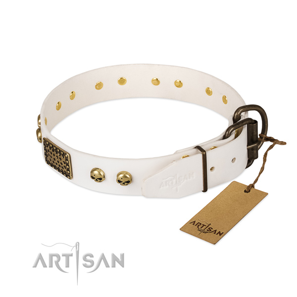 Adjustable leather dog collar for basic training your four-legged friend