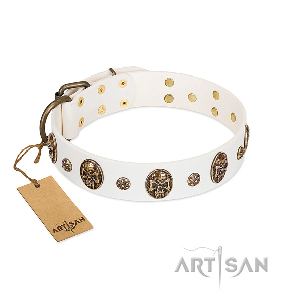 Impressive genuine leather collar for your doggie