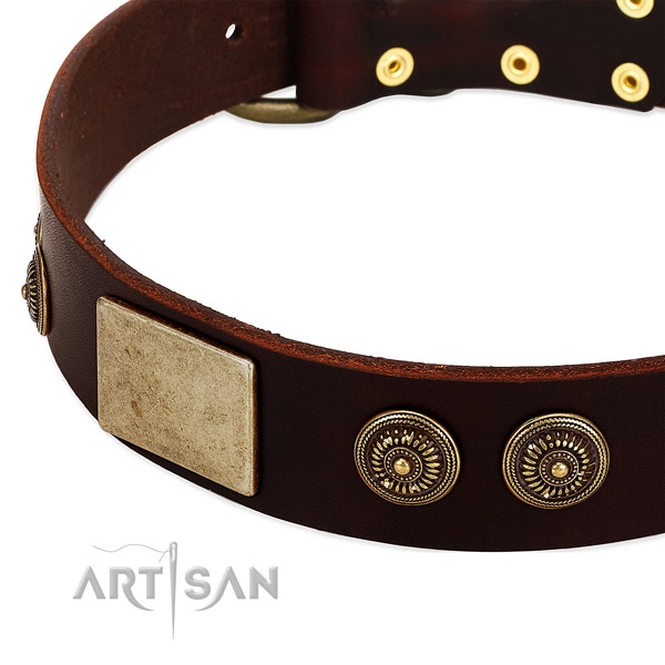 Durable adornments on full grain natural leather dog collar for your doggie