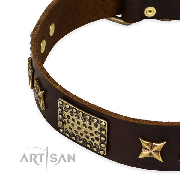 Full grain genuine leather collar with durable D-ring for your impressive pet