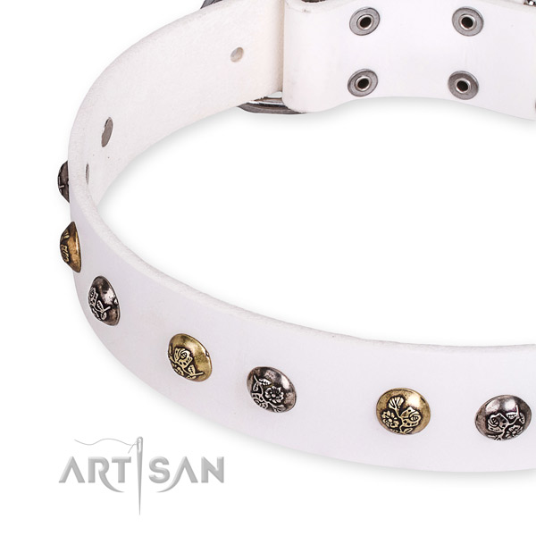 Natural leather dog collar with incredible strong studs