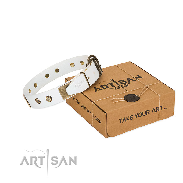 Corrosion resistant embellishments on dog collar for daily use