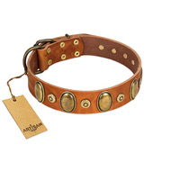 "Crystal Sand" FDT Artisan Tan Leather American Bulldog Collar with Vintage Looking Oval and Round Studs