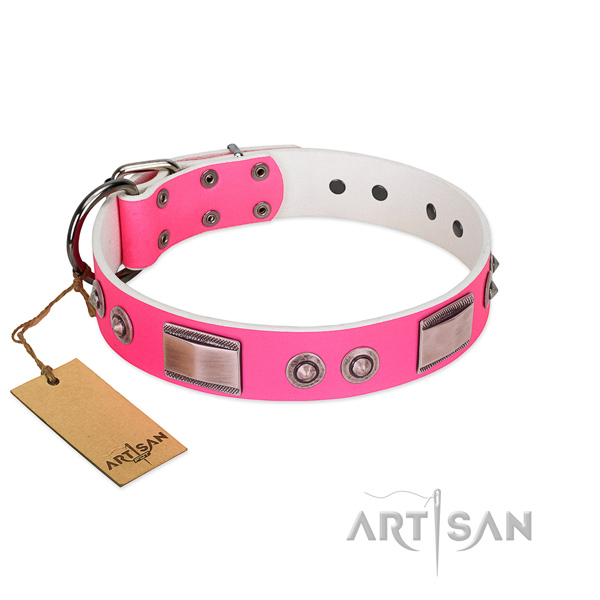 Easy adjustable dog collar of full grain leather with studs