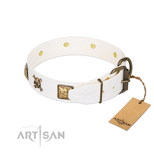 Incredible leather dog collar with rust-proof adornments