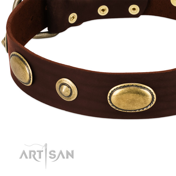 Reliable embellishments on leather dog collar for your dog