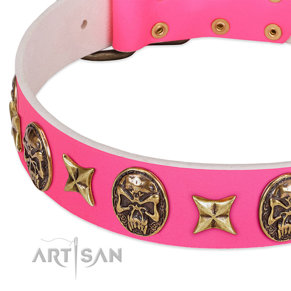 Natural leather dog collar with exceptional studs