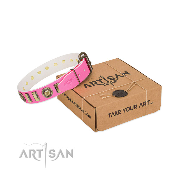 Reliable full grain leather dog collar created for your pet