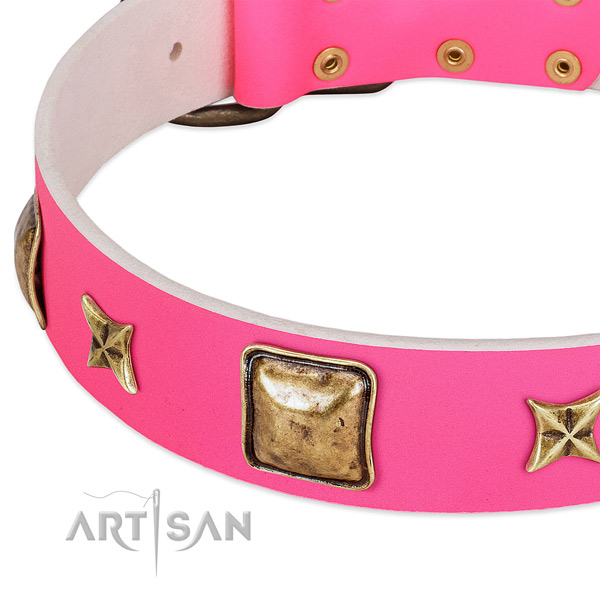 Leather dog collar with exceptional embellishments