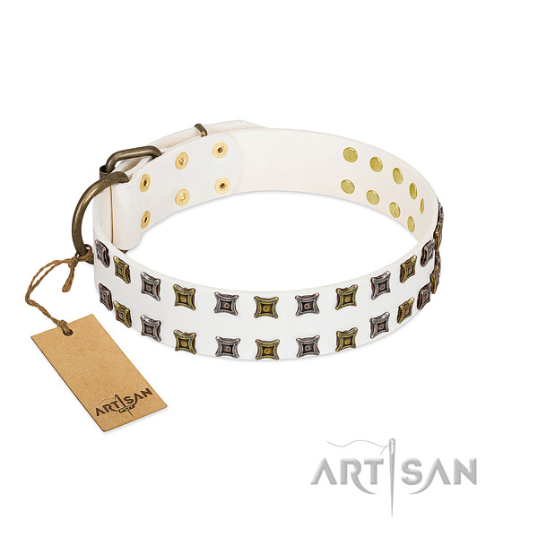 Reliable leather dog collar with adornments for your canine