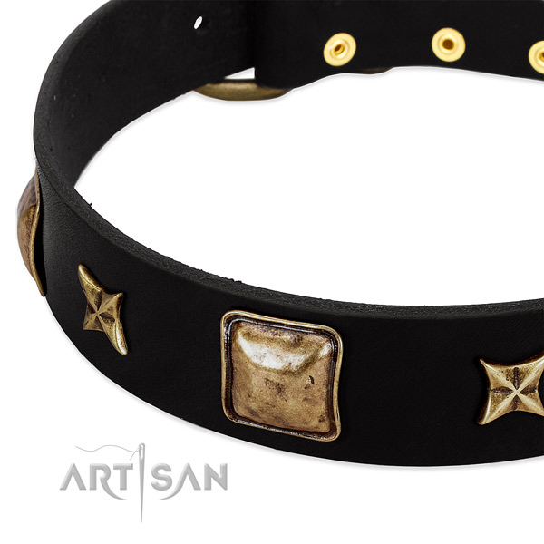 Natural leather dog collar with inimitable decorations