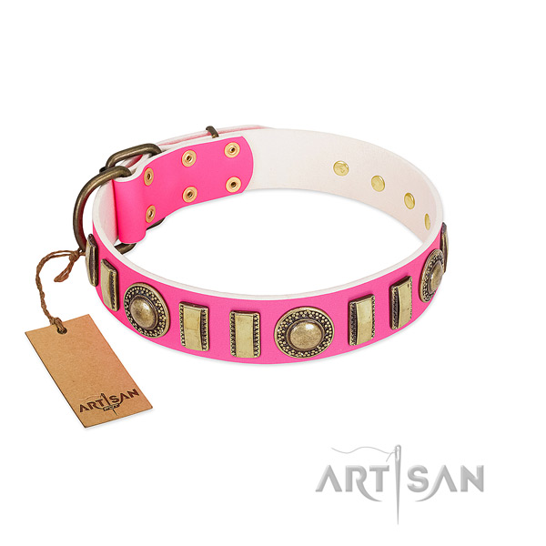Impressive genuine leather dog collar with corrosion resistant fittings