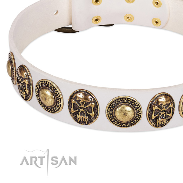 Strong traditional buckle on full grain natural leather dog collar for your four-legged friend