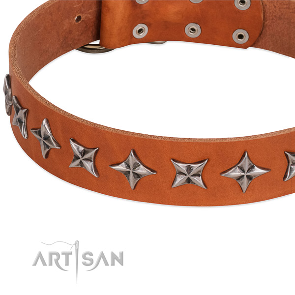 Easy wearing studded dog collar of strong full grain leather