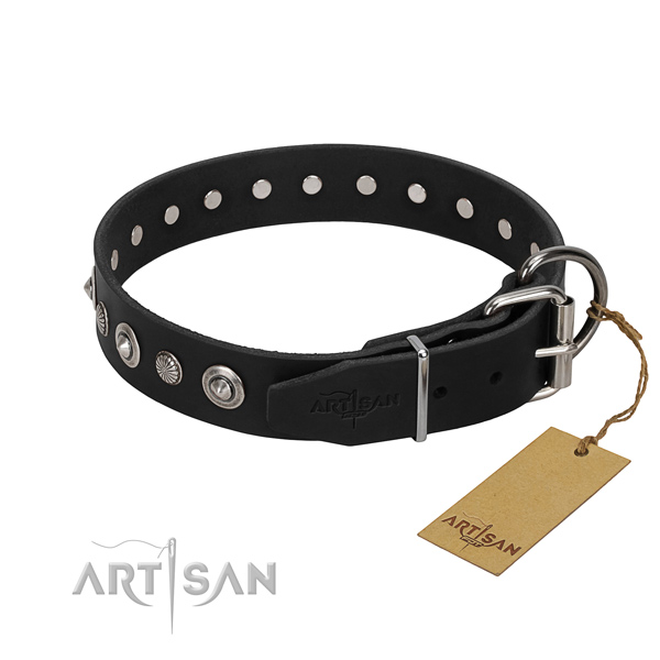 Durable full grain leather dog collar with stylish studs