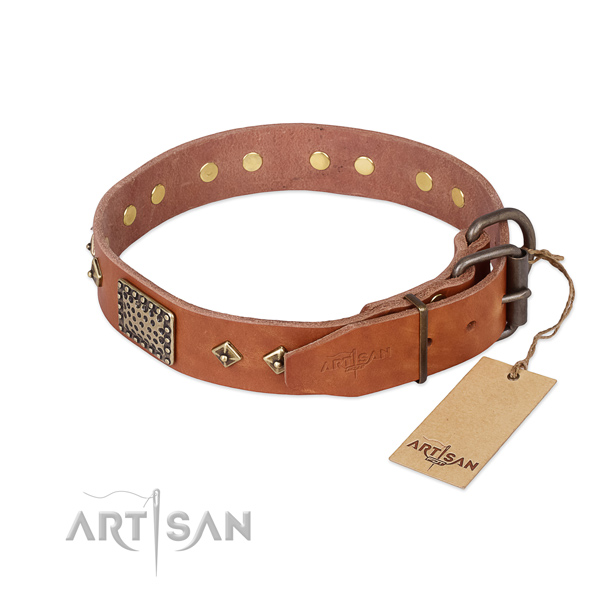 Leather dog collar with durable fittings and studs