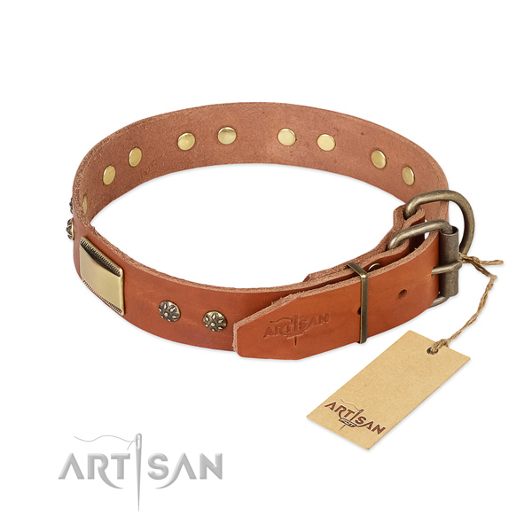 Full grain natural leather dog collar with corrosion resistant buckle and adornments