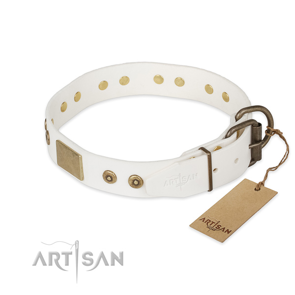 Full grain genuine leather dog collar with durable fittings and studs
