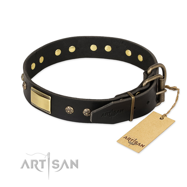 Full grain natural leather dog collar with corrosion proof fittings and studs