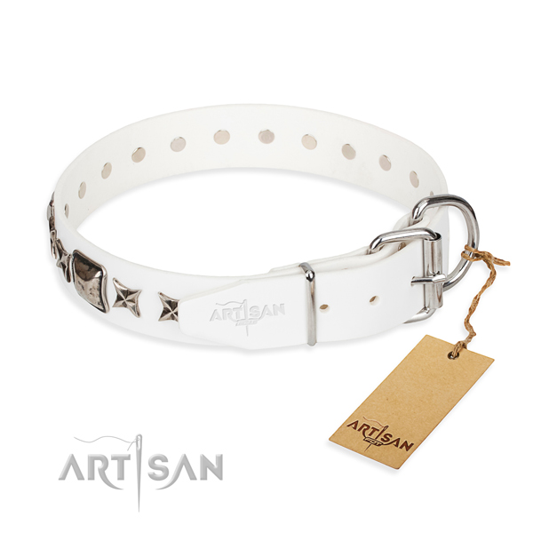 Best quality adorned dog collar of leather