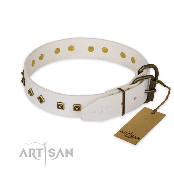 Strong fittings on leather collar for fancy walking your dog